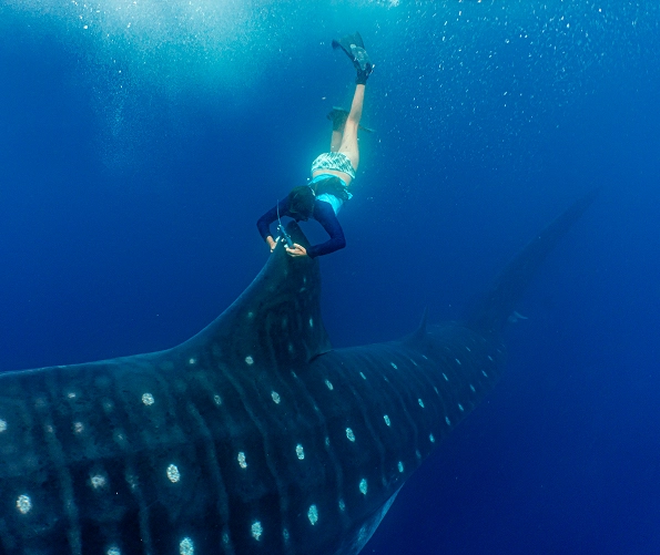 Galapagos_Science_Center_Contact_us_Collaboration