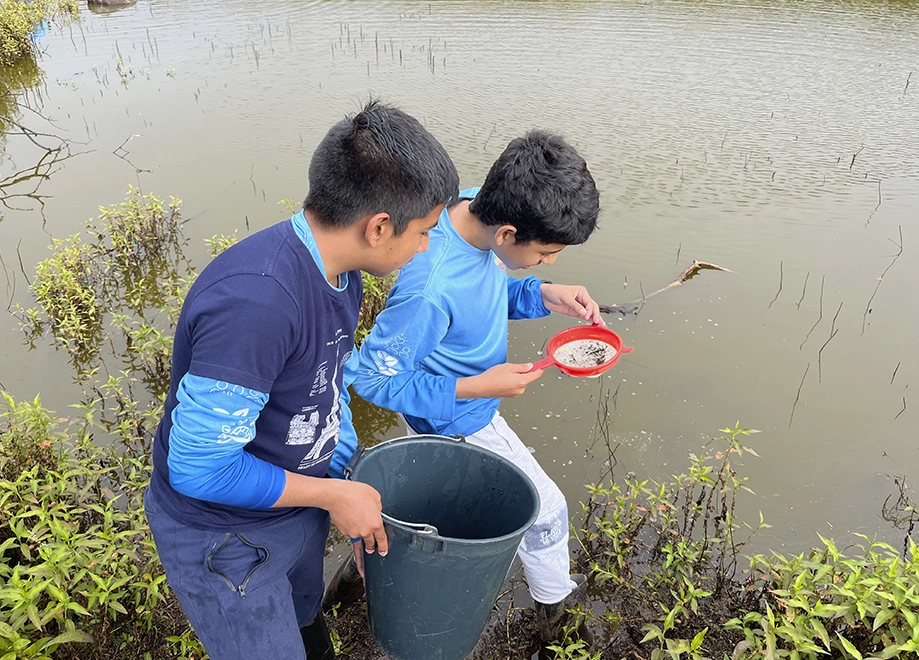 carrusel-amigos de la ciencia-05