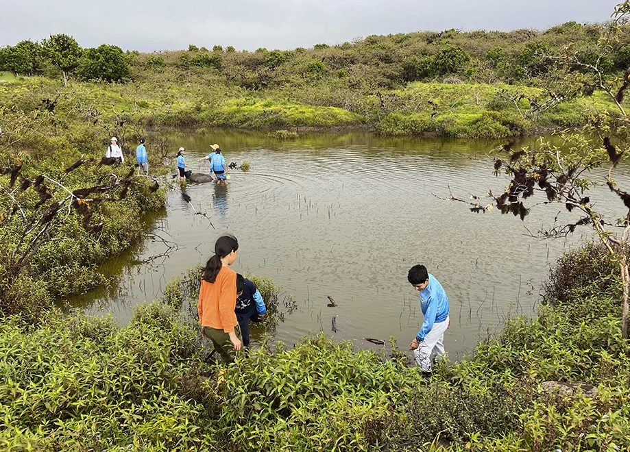 carrusel-amigos de la ciencia-08