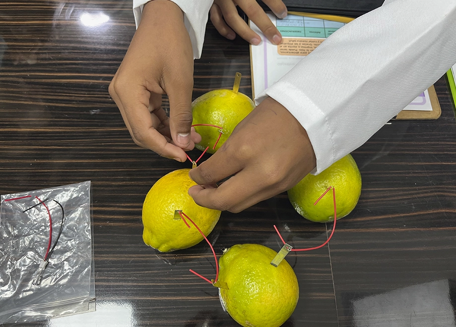 carrusel-amigos de la ciencia-15