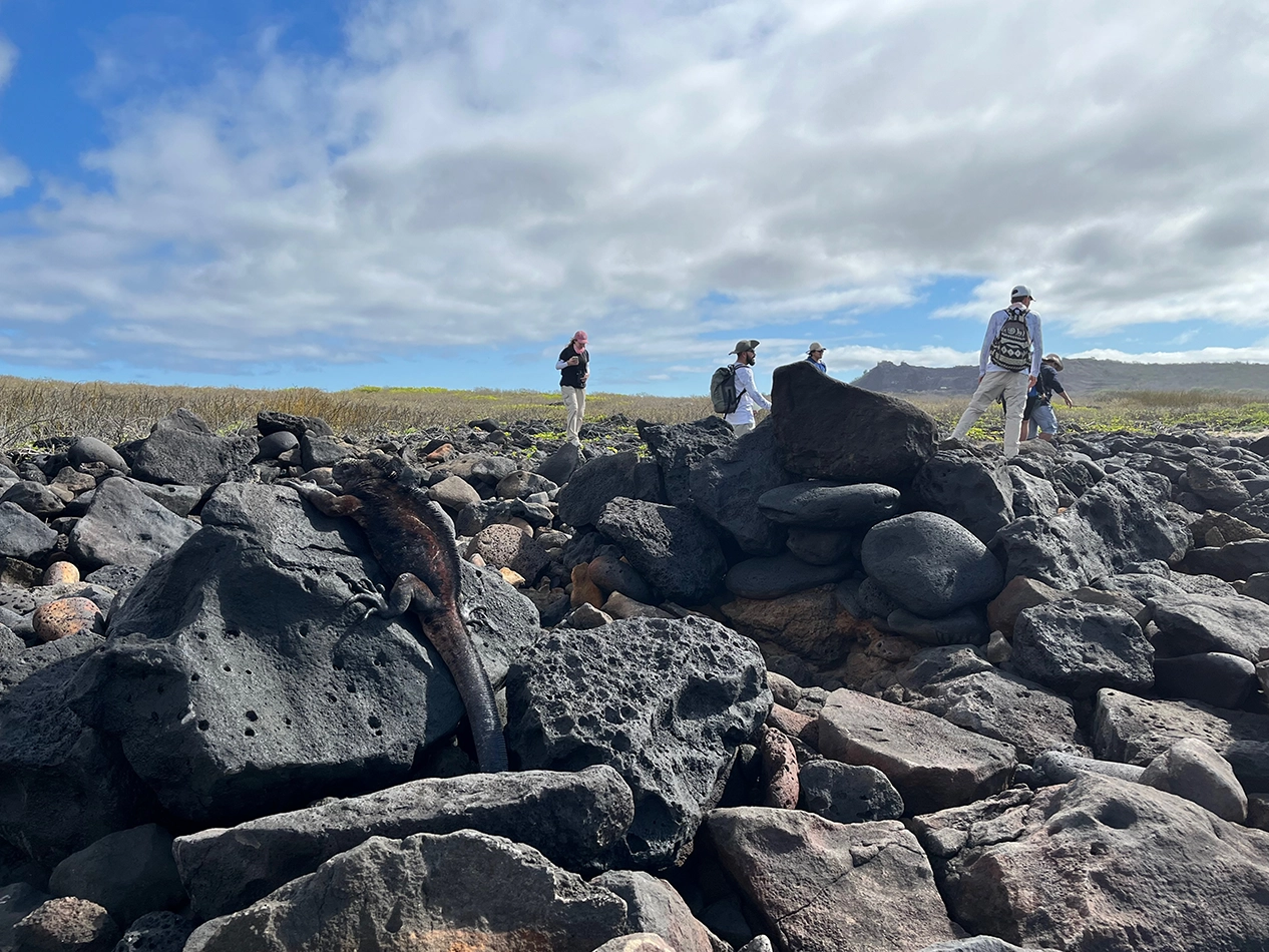 LTER Project – Wreck Bay gallery-03