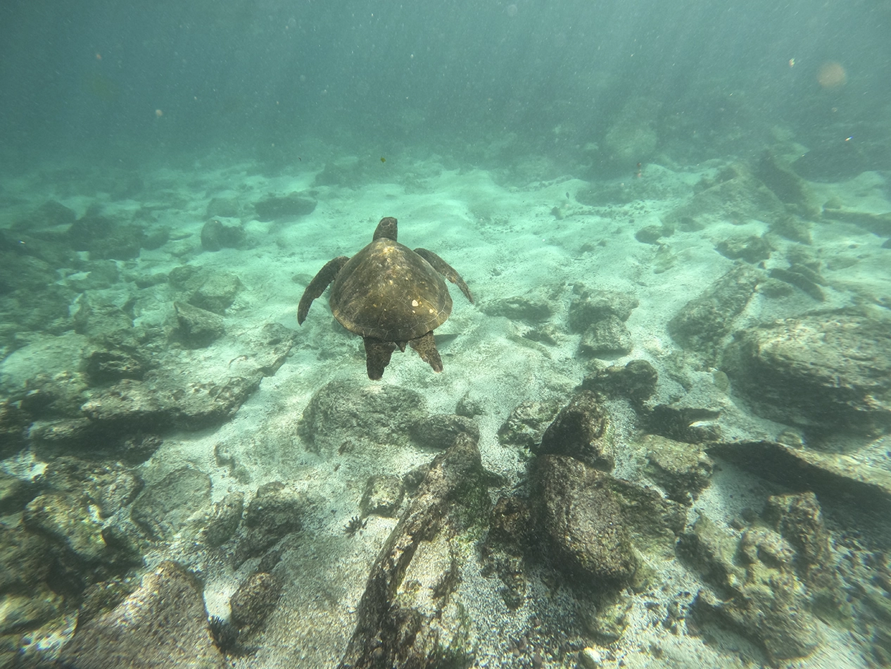 LTER Project – Wreck Bay gallery-05