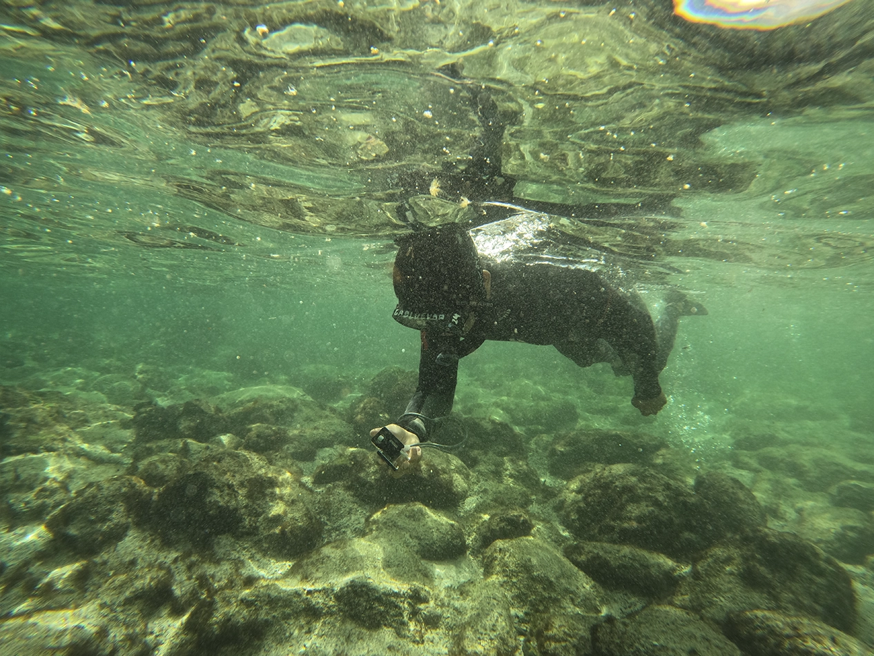 LTER Project – Wreck Bay gallery-06