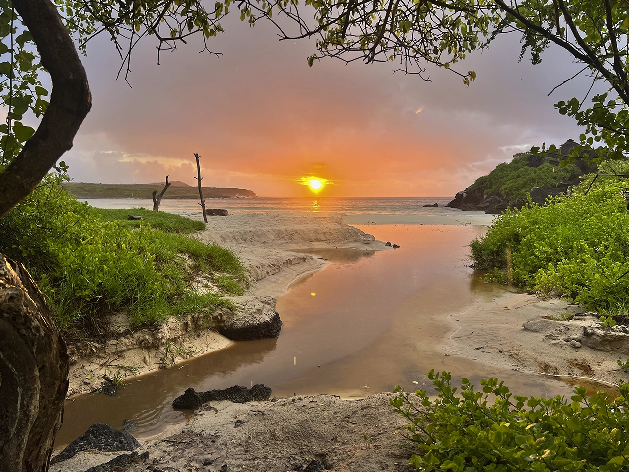 LTER Project – Wreck Bay gallery-07