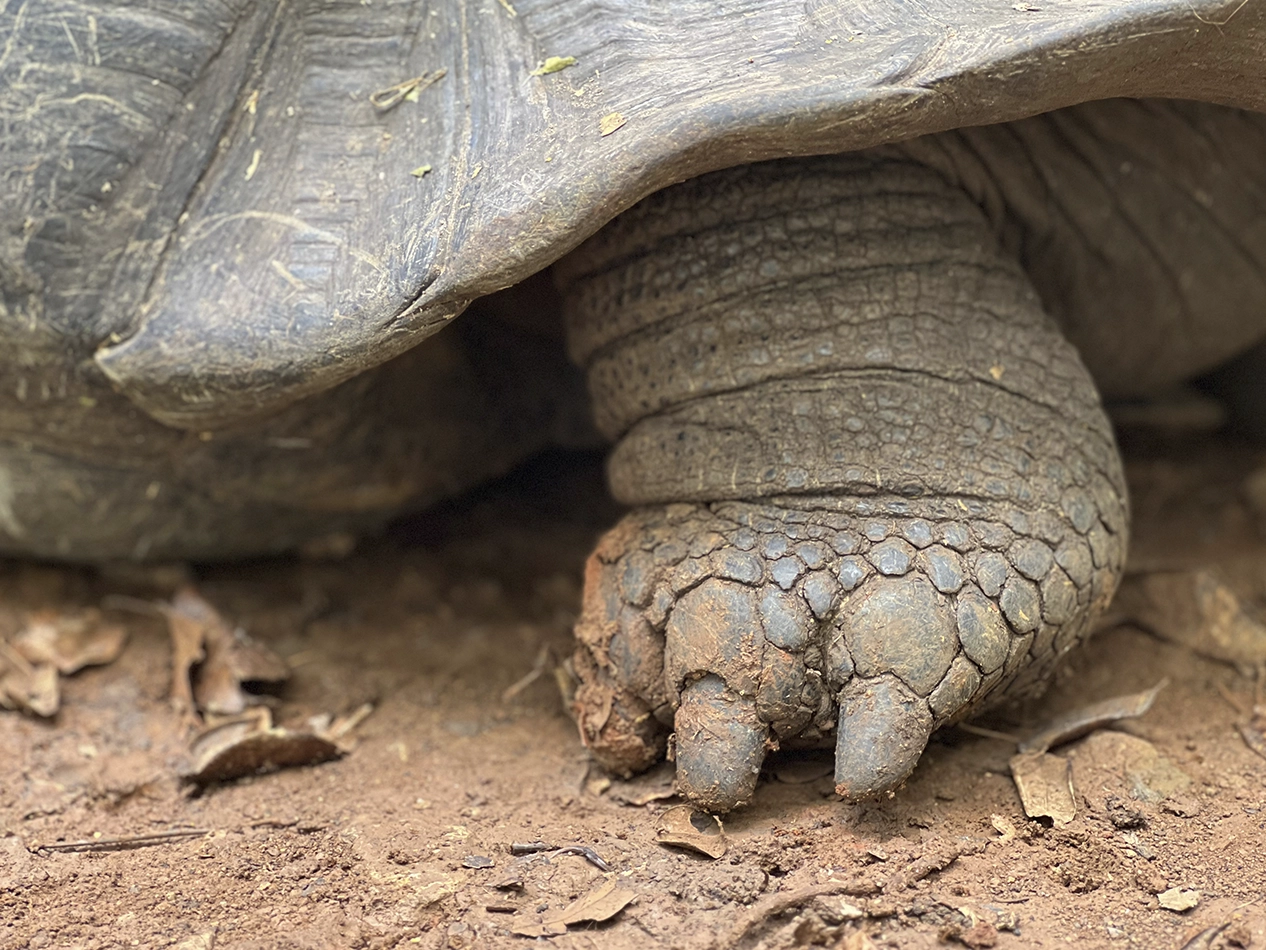 LTER Project – Wreck Bay gallery-08