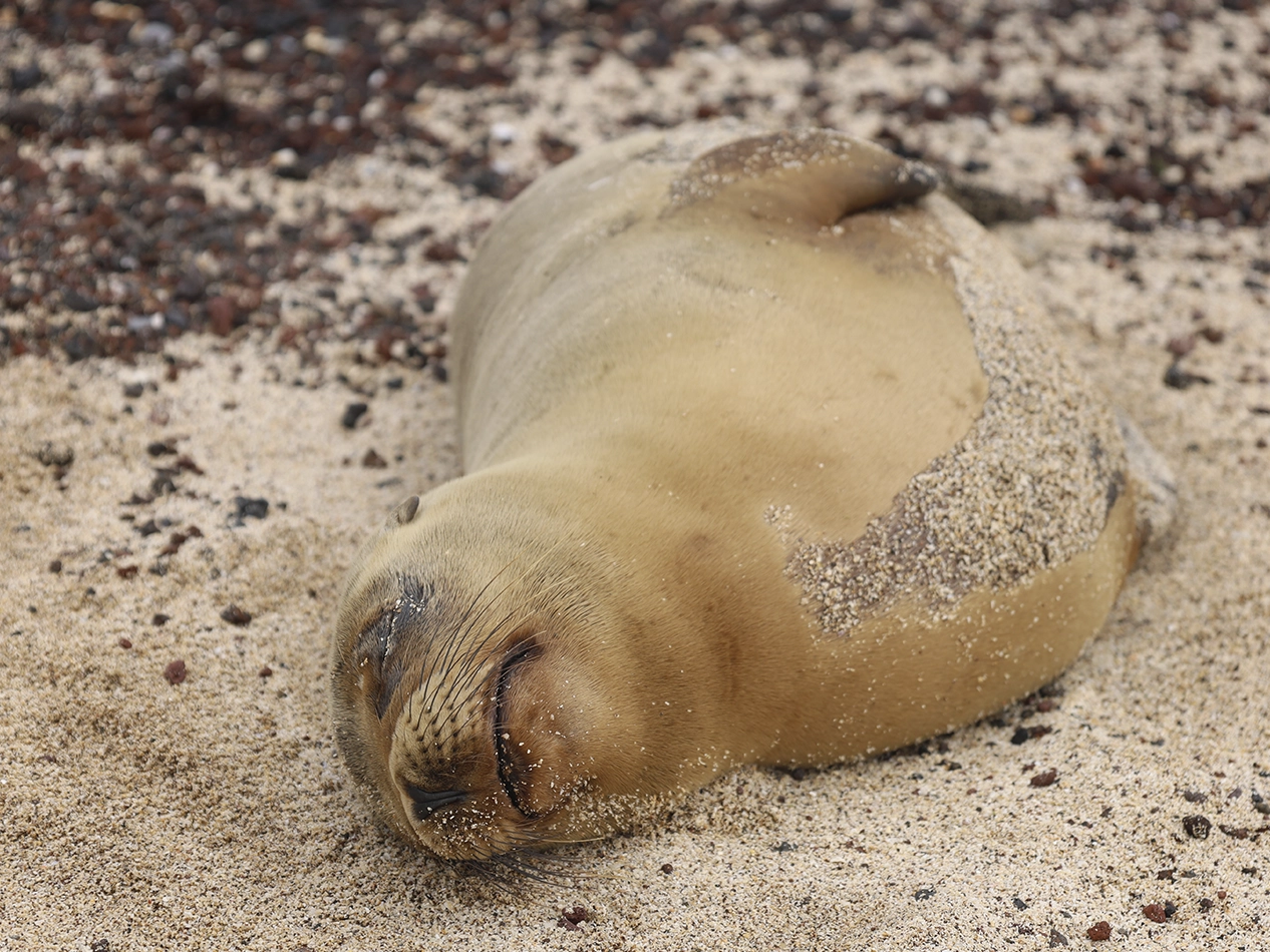 LTER Project – Wreck Bay gallery-09