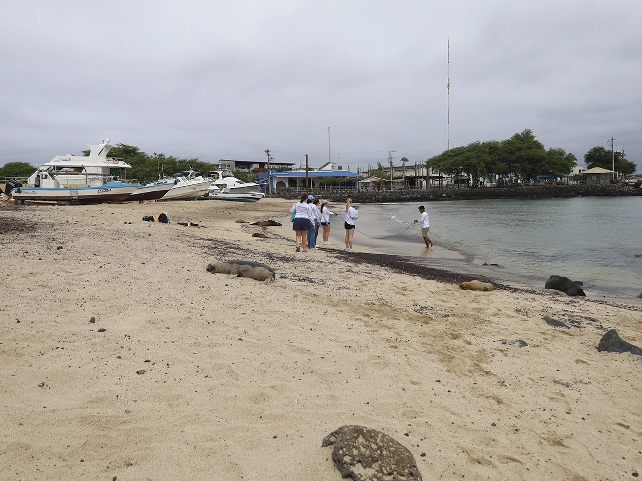 LTER Project – Wreck Bay gallery-10