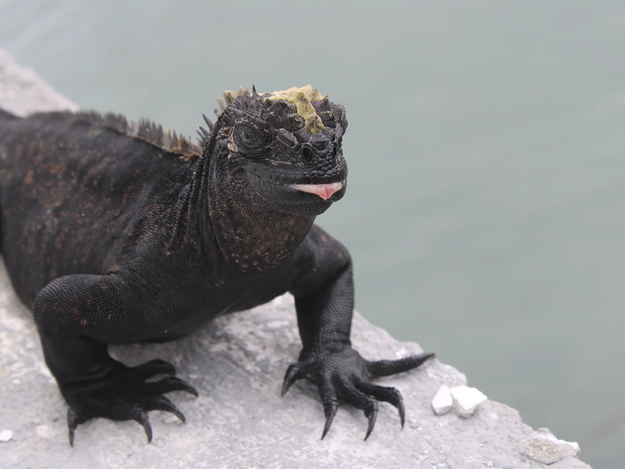 LTER Project – Wreck Bay gallery-11