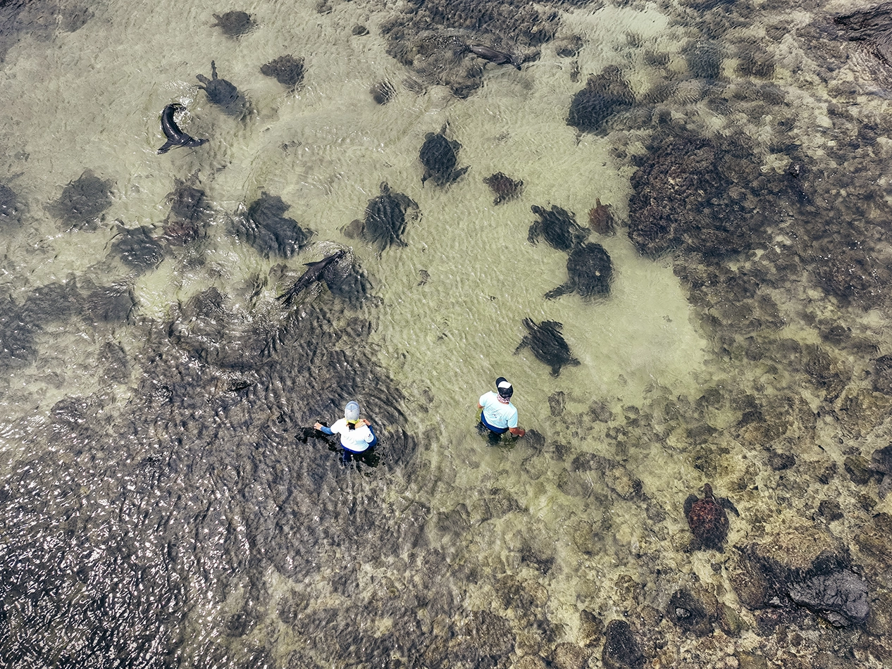 LTER Project – Wreck Bay gallery-12