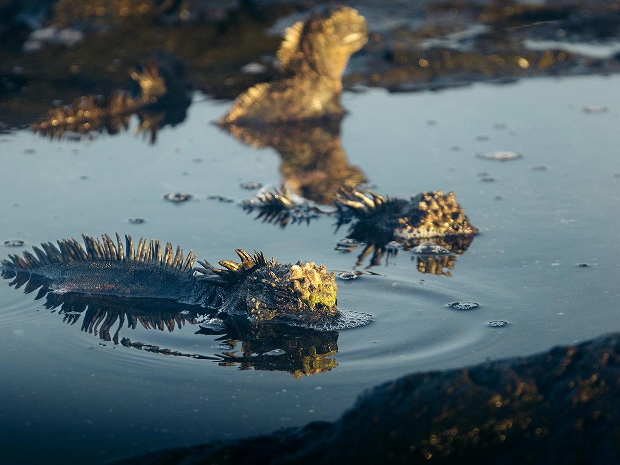 LTER Project – Wreck Bay gallery-13