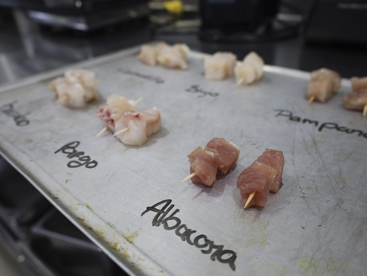 Proyecto Nutrición y pesca sosteniblegallery-04