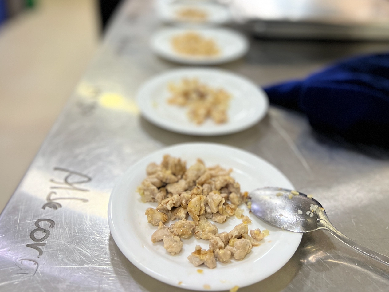 Proyecto Nutrición y pesca sosteniblegallery-09